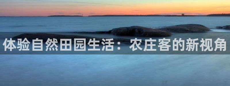 天辰娱乐分红
