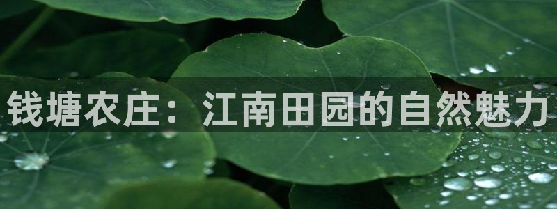 天辰娱乐论坛