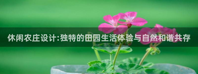 天辰娱乐招商
