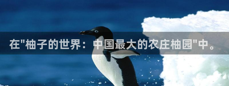 大同天辰娱乐