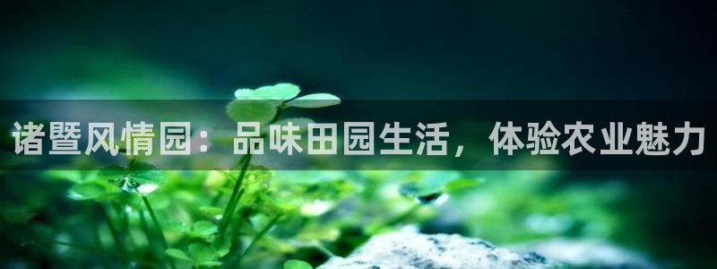 天辰娱乐1980