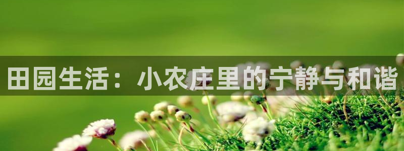 天辰娱乐平台靠谱么