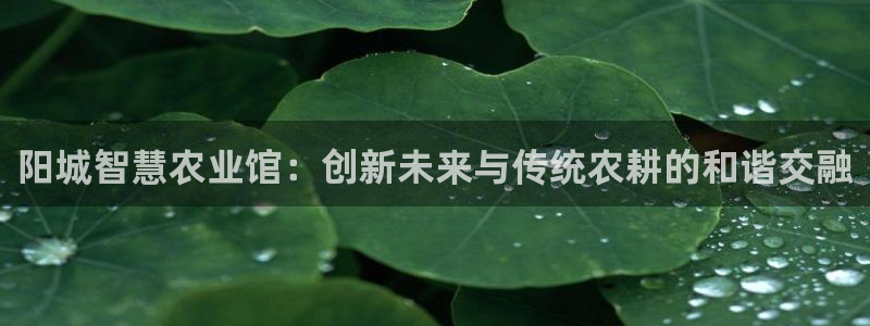 天辰娱乐1980