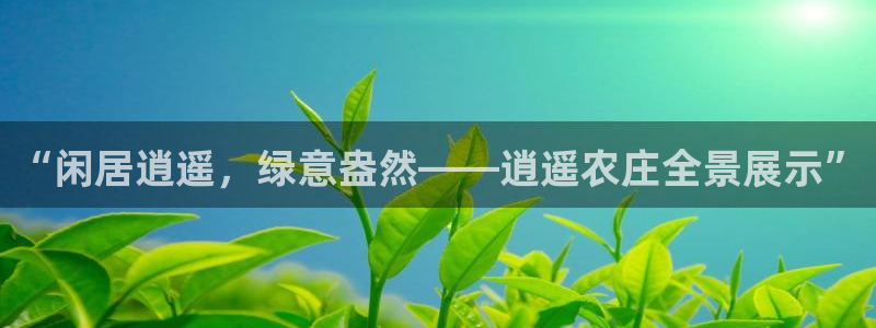 天辰娱乐国际