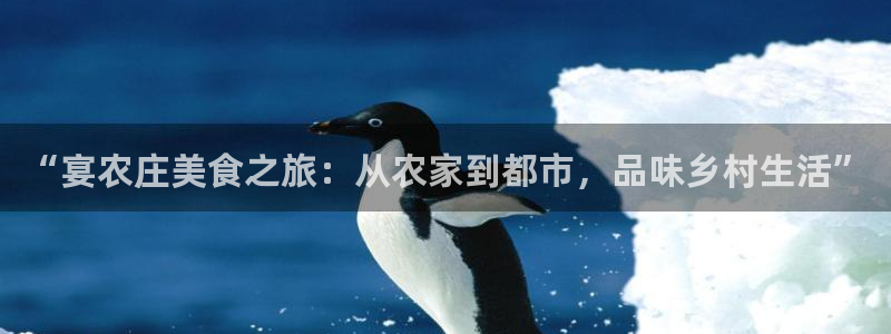 天辰娱乐 849852