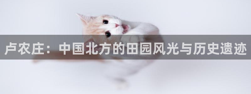 天辰天富娱乐登录