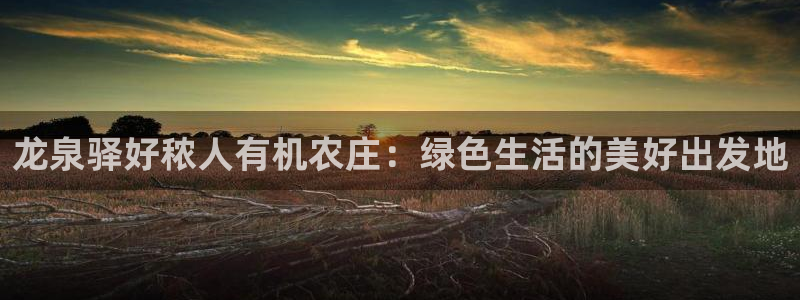 天辰娱乐登录网址