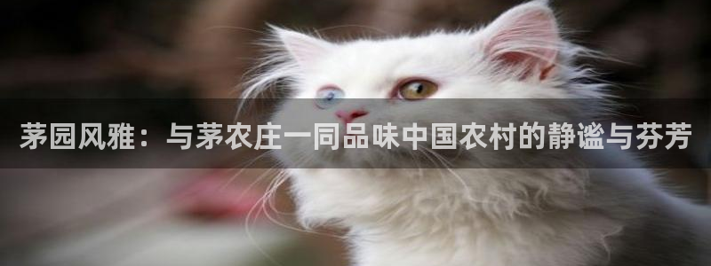 天辰娱乐注册登录