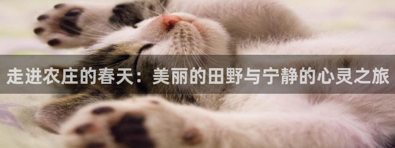辰天娱乐