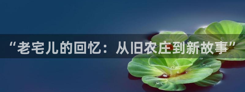 天辰宝宝娱乐