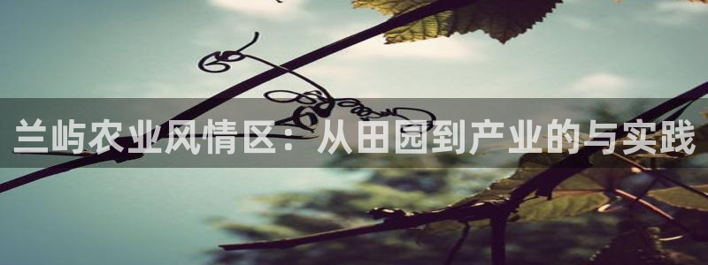 天辰娱乐 39974
