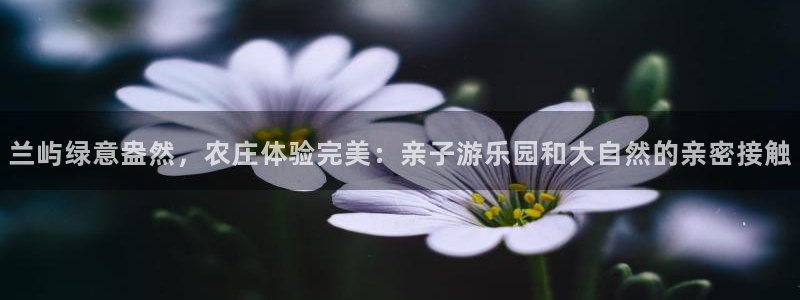 天辰娱乐线路
