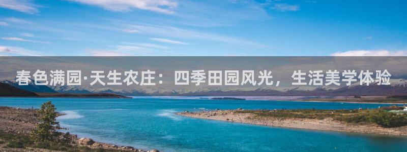 天辰娱乐游客