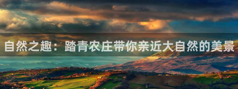 天辰娱乐下载