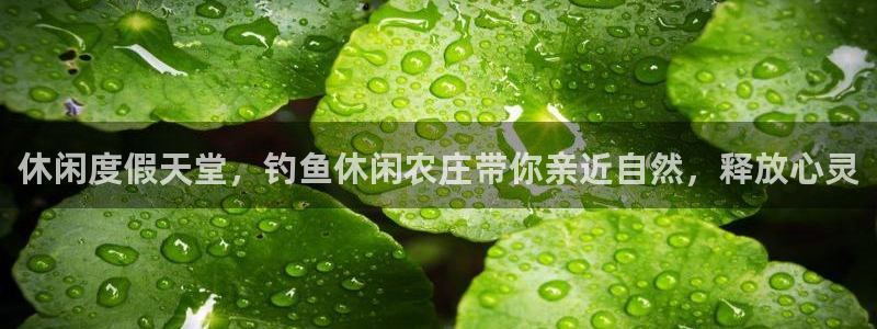 天辰娱乐软件