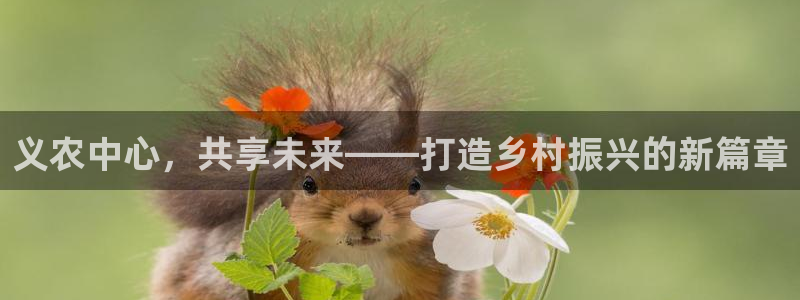 天辰娱乐待遇