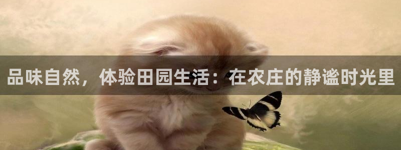 天辰娱乐_ 18113