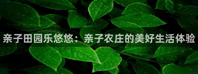 南充天辰娱乐