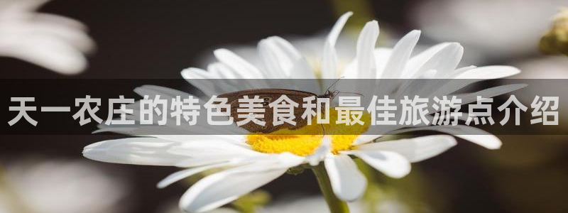 天辰娱乐39974神