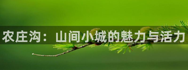 天辰娱乐2