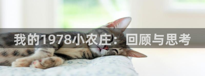 天辰 娱乐 注册