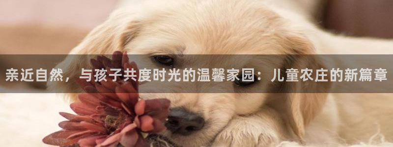 天辰娱乐天辰注册登录