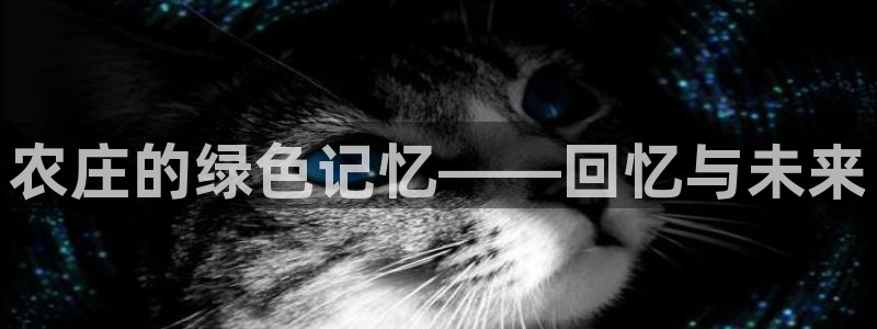 天辰娱乐总管年薪