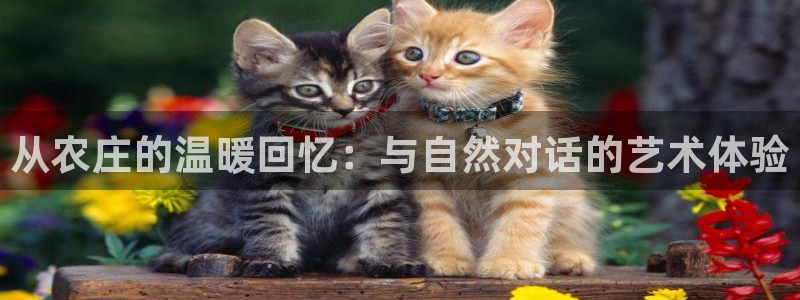 天辰娱乐游戏平台怎么样